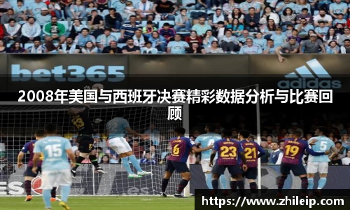 2008年美国与西班牙决赛精彩数据分析与比赛回顾